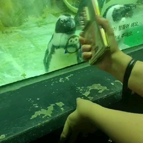 여수여행👫👣

항상 왜 여행갈때마다 날씨가 꾸리꾸리할까....🥲