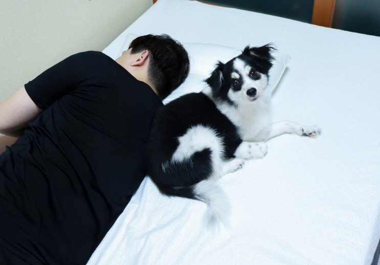 수입매트리스 탄탄한 그랜텍 그랜레스트 이오스 메모리폼매트리스