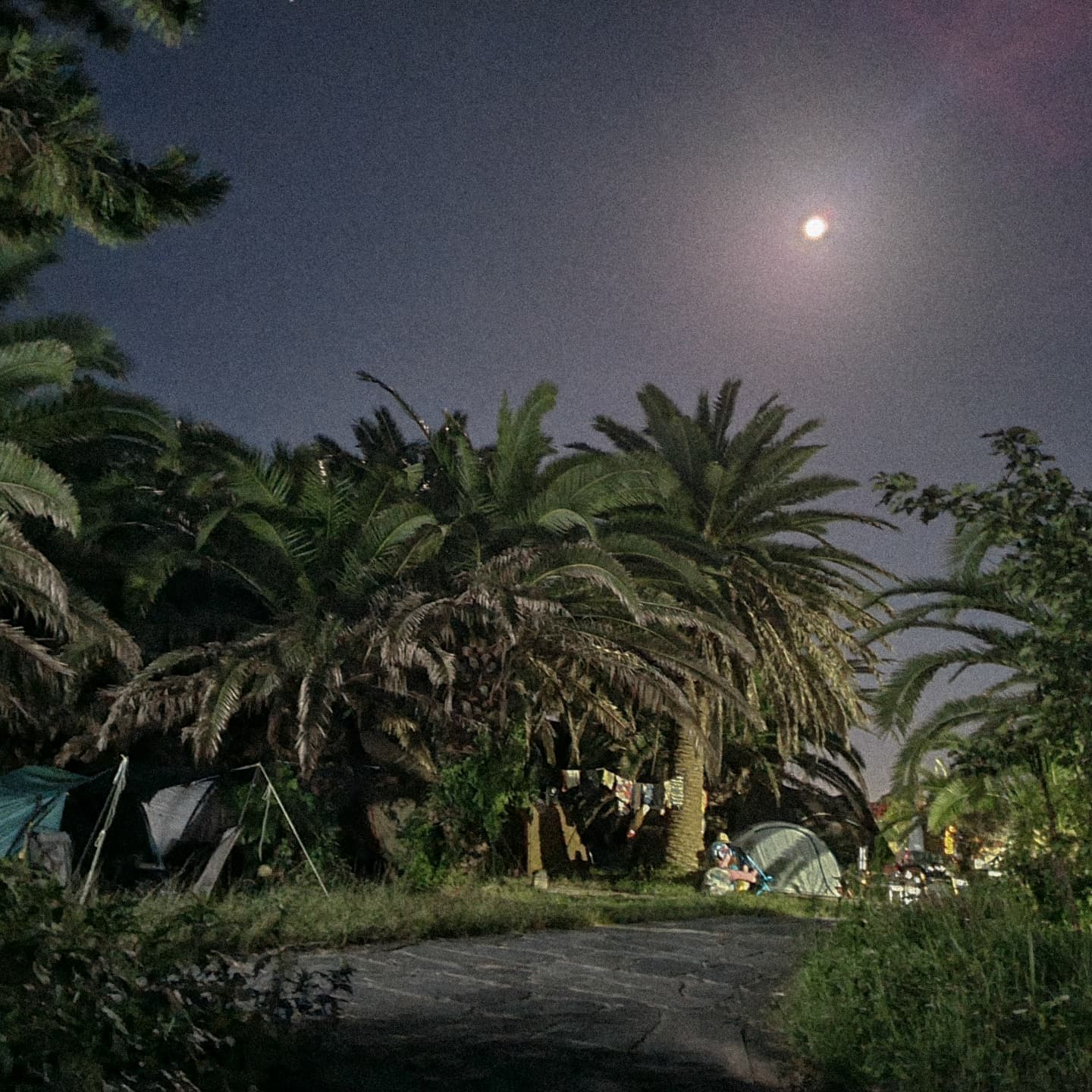 .
짧고 굵게 다녀온 무박 2일 제주여행🌴
(원래 2박3일 계획이었는데,,,)
외국같은 분위기 나서 좋았다
생각보다 사람들이 폴대 두고왔을 때 대책 같이 생각해주고 선뜻 텐트도 빌려주겠다는 분도 계셨고,, 천사들이신가요?😇💛
마음이라도 잘 받았어요 진짜로 감사합니당
근데 내 사진을 남기지 못한게 아쉽,,,
