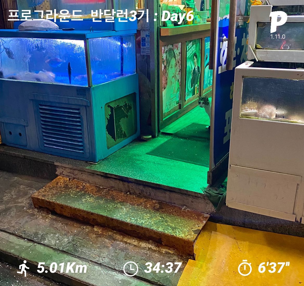 오늘 6일차 🐸
피로가 누적되는 느낌
오늘은 진짜 힘들었다 💨

그래도 김먹보씨랑 친해져서 좋다
찡찡거리면 아주 따스하게 받아주심 👏

#프로그라운드 #proground, #반달런 #반달런3기