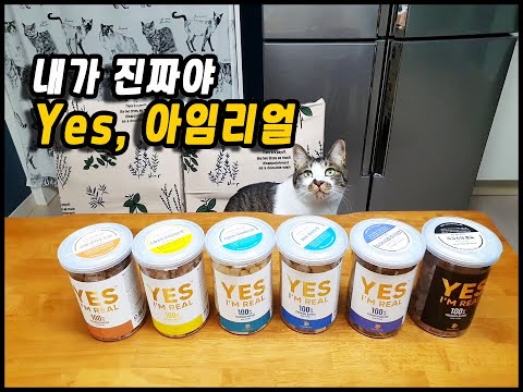 골드로니수제간식! 정말 리얼한 고양이 간식  Yes, I am real/토토네토스트