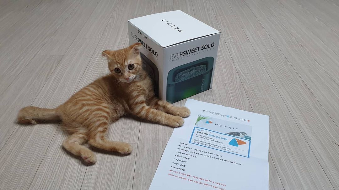 토토네토스트 on Instagram: “펫킷 스마트 솔로 정수기 체험단에 선정되었어요. 1. 무감지 전력설계 2. 불빛 알림 3. 무소음 4. 분수형 설계 5. 다중정화 시스템 6. 심플한 디자인 샘물처럼 물이
