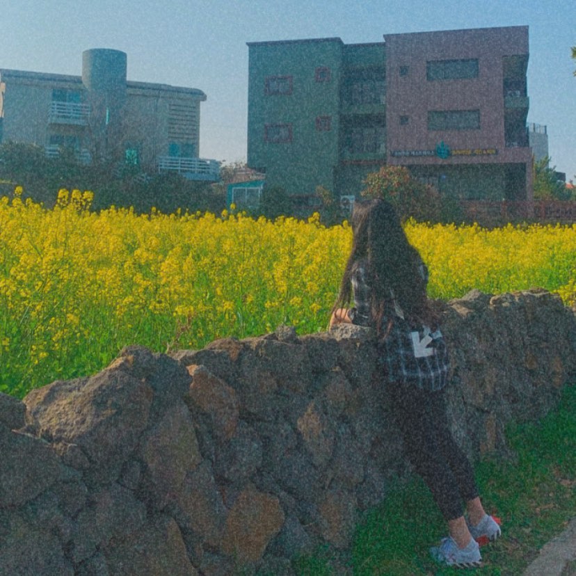 봄이 오면 대가야로 가야지