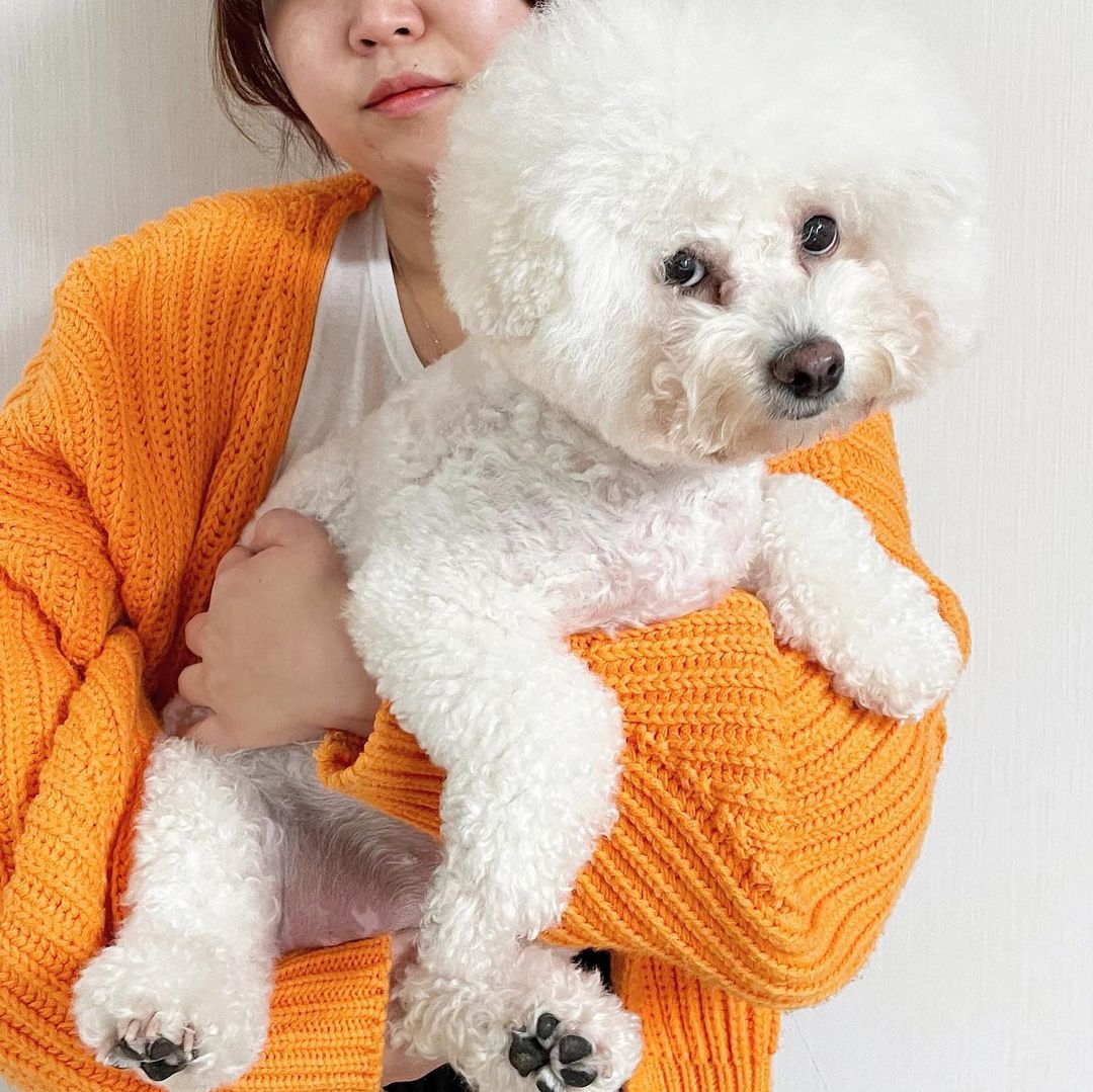 @2_seonae on Instagram: “#협찬 우리 소중한 댕댕이들과 냥이들을 위한 #NOTTOY챌린지 저도 참여했어요💕 반려견과 반려묘들의 더 나은 삶을 위해 무려 2000만원 기부금도 사용된다니 같이 참여해