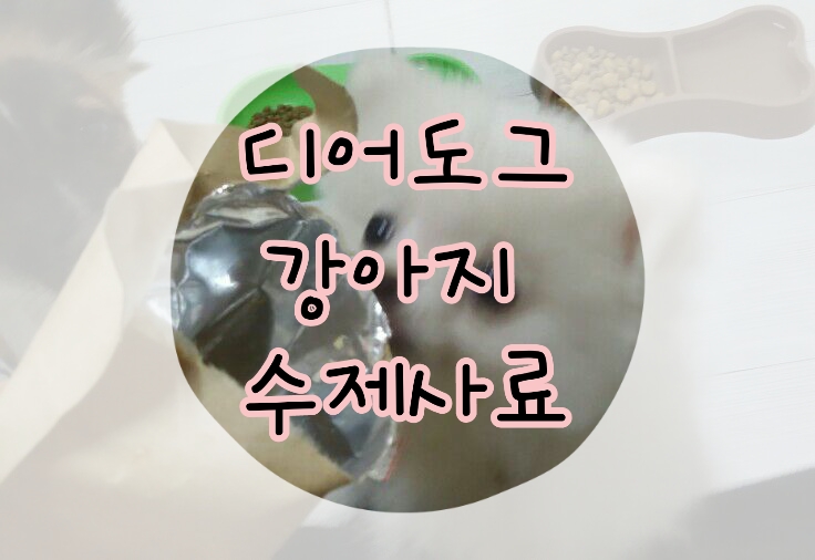 [쁨쭈일상] 강아지가 좋아하는 디어도그 수제사료추천