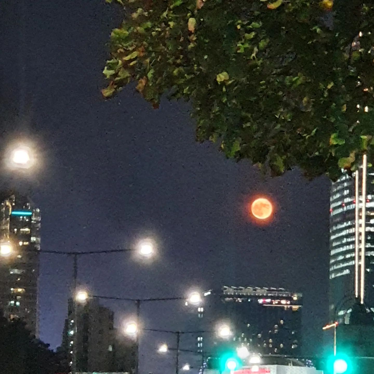 달 달 달 달 #보름달 #붉은달