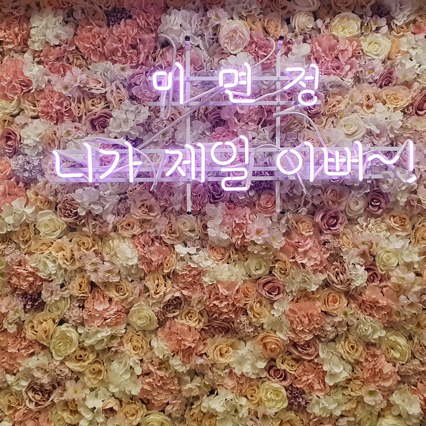#1일1맛집 #도곡맛집 #양재샤브샤브 :) 소고기샤브샤브는 언제나 좋다
분위기 그리고 서비스 맛까지 좋은 곳#미면정양재칼국수