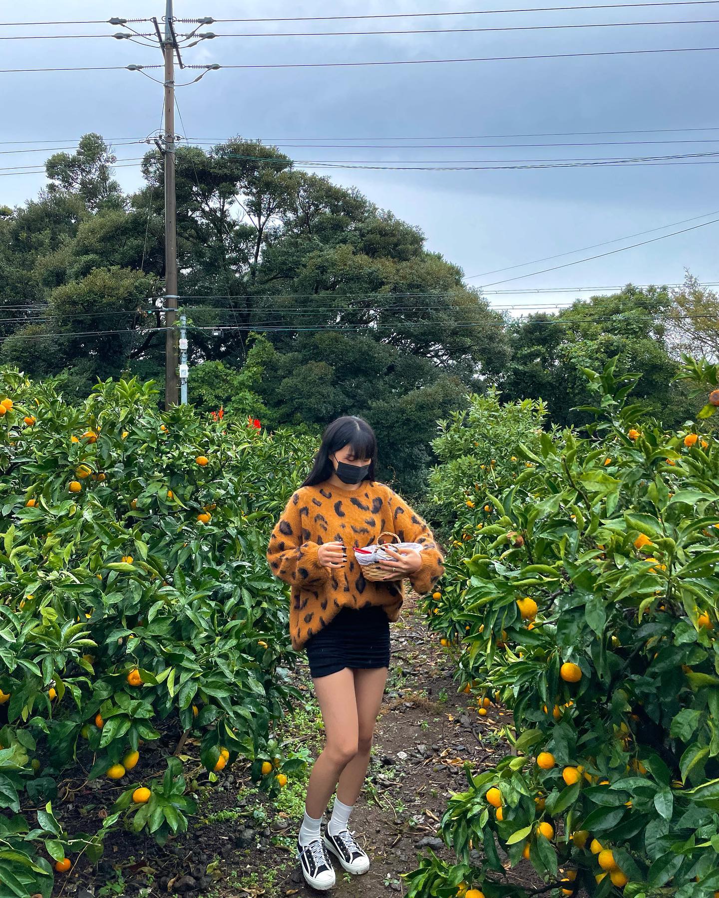 🍊🧡🍊🧡🍊🧡