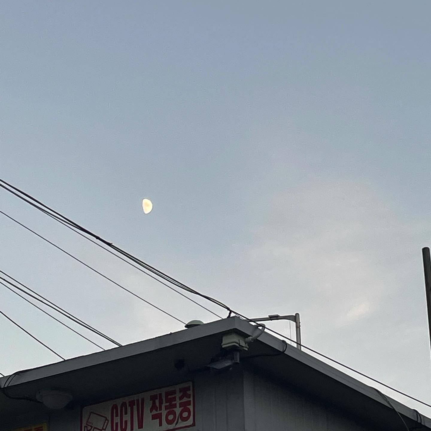 콘텐츠