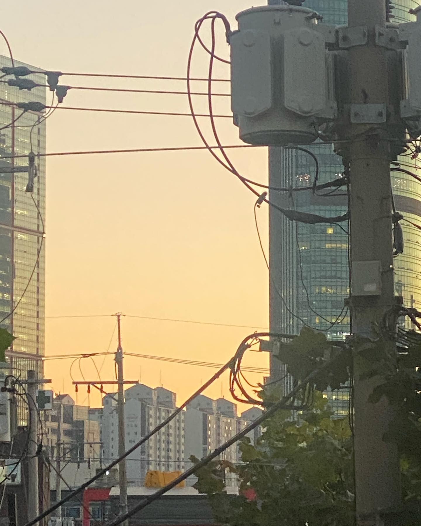 콘텐츠