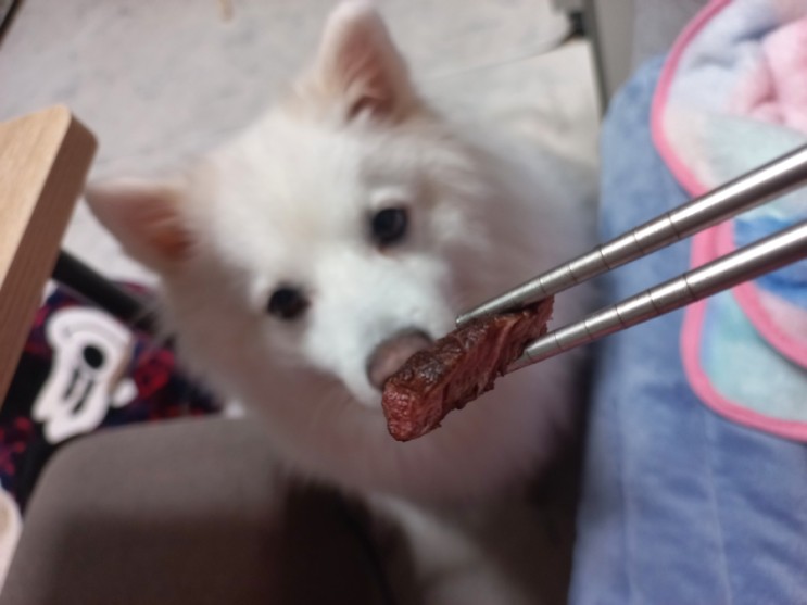 국내산 소고기 육우 등심 : 시즈닝 하지않아도 맛있는 소고기
