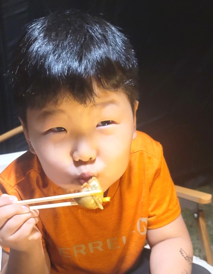냉동만두요리 간단 캠핑 간식으로 진리 푸드 만두 좋아요