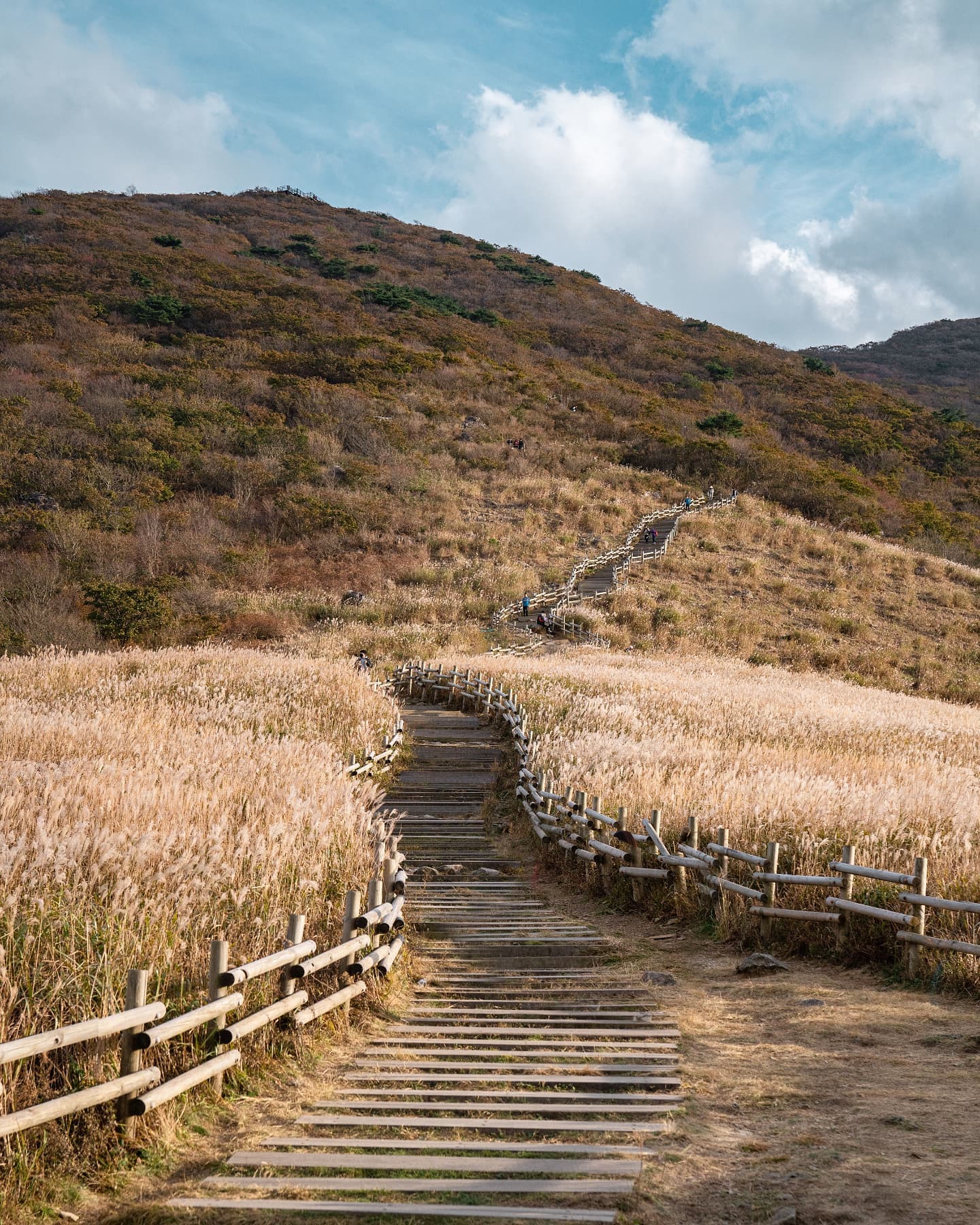 나도 갔다왔다 영남알프스〰️

▪️Sony a7 R iii | SEL2470GM 
▪️potato_zzoooooon 49fudsnwld
▪️울산 울주군 상북면 -간월재