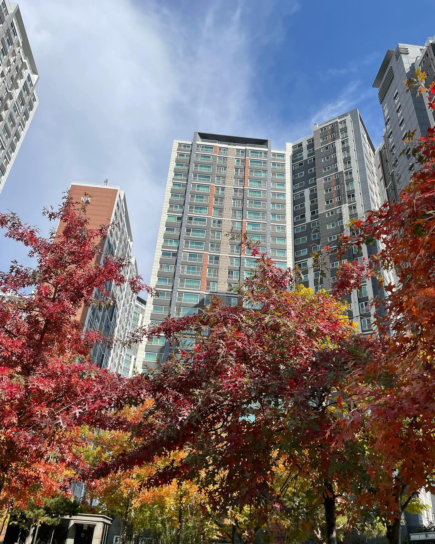 오늘 날씨가 가을 가을 해요.. 🍁🍂
점심시간에 산책 다녀왔는데 너무 예뻐여
울님들 밥 맛잇는거 드셨는가요!?? 이제 오늘 하루만 지나면 주말이니까 남은 시간도 화이팅 하세요!!
.
.
.
.
#금요팅 #어른 #직장인 #금요일