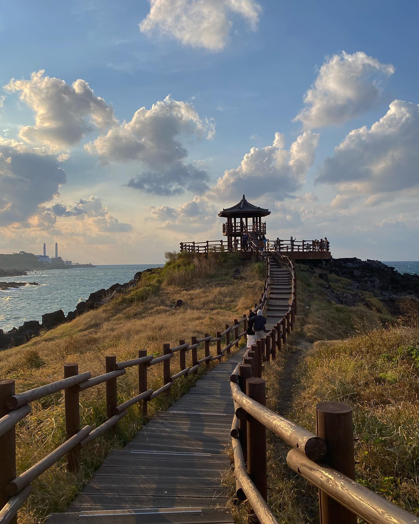 억새 만개한 닭머르 🤎 제주 동쪽 억새 명소 추천 ! 20-30분이면 충분히 다 구경하고 사진찍을 수 있어요. 경사도 낮고 계단도 몇개 없어서 더 좋아요 🙏🏻

📍#닭머르 #닭머르해안길
🍂#제주볼거리 

.
.
.

#제주동쪽볼거리 #제주조천 #조천명소 #제주닭머르 #제주도 #제주도핫플레이스 #제주살이 #제주여행 #제주 #jeju #jejuisland #제주핫플 #제주추천 #공유 #소통 #좋아요 #좋아요반사 #좋반 #좋아요테러 #제주도여행 #제주스타그램