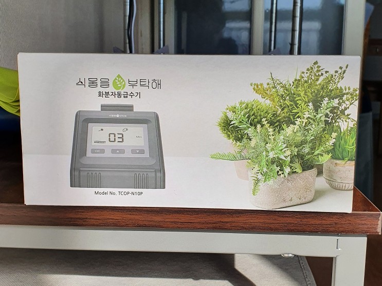 반려식물 화분에 키울 땐 스마트한 자동급수기 식물을 부탁해