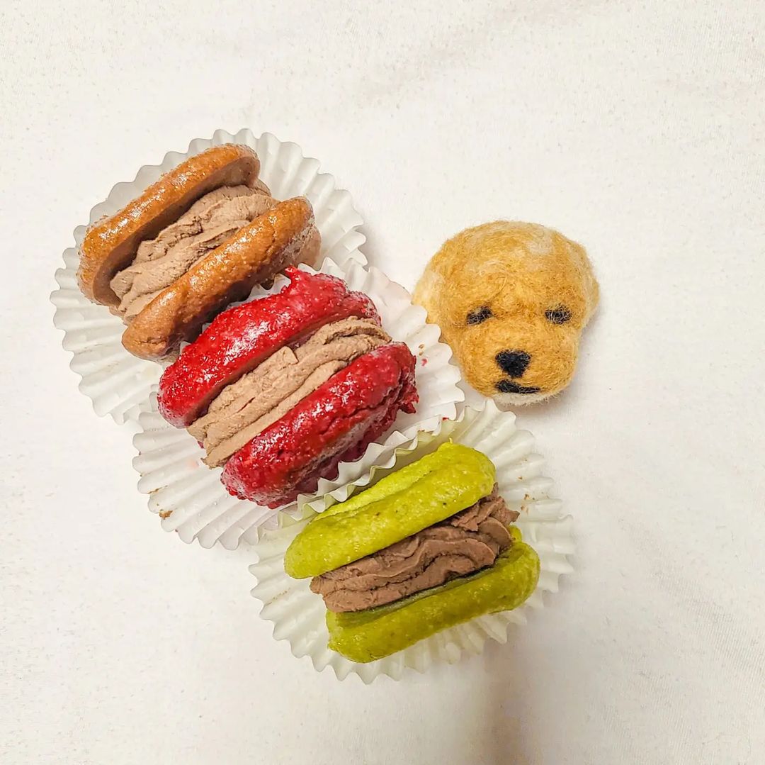 김시현’s Instagram post: “#협찬 [똑독] 강아지 수제간식⁣ 이번에 @ttok_dog_ 에서 초코한테 선물을 보내주셨어요! 사람이 먹는 다쿠아즈 같이 생긴 간식인데 퀄리티 미쳤...😲👍⁣ .⁣ 제품들