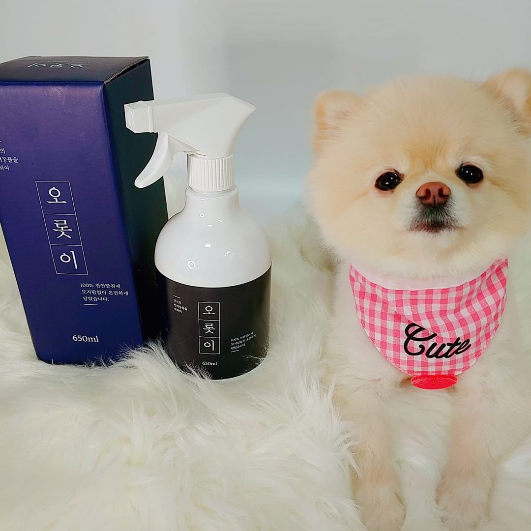 몽솜이네🌺🐻🐰🐹🌺 on Instagram: “#협찬 @petfriends_team 펫프렌즈 단독 판매! 💛오롯이 천연탈취제💛 탈취제 판매 1위 제품으로 99% 의 뛰어난 탈취력을 가지고 있는 제품👍 세균 측정기로