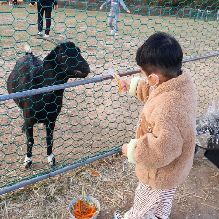 #양떼목장🐑 

양이랑 토끼보고 싶다는 말에
무작정 떠난 양떼목장🐑🐇🐑🐇

바람이 좀 많이 불었지만
진짜 뷰가 아주그냥!!!!

두꺼운 외투 챙겨가길 잘했지 ㅎㅎ

무서워 하지도 않고
먹이 잘주는 울아들😊😊

집에가는 차에서
"또 가고 싶다!!" "너무 좋았어!!"하는 너😍

담에 또 가쟈구❤