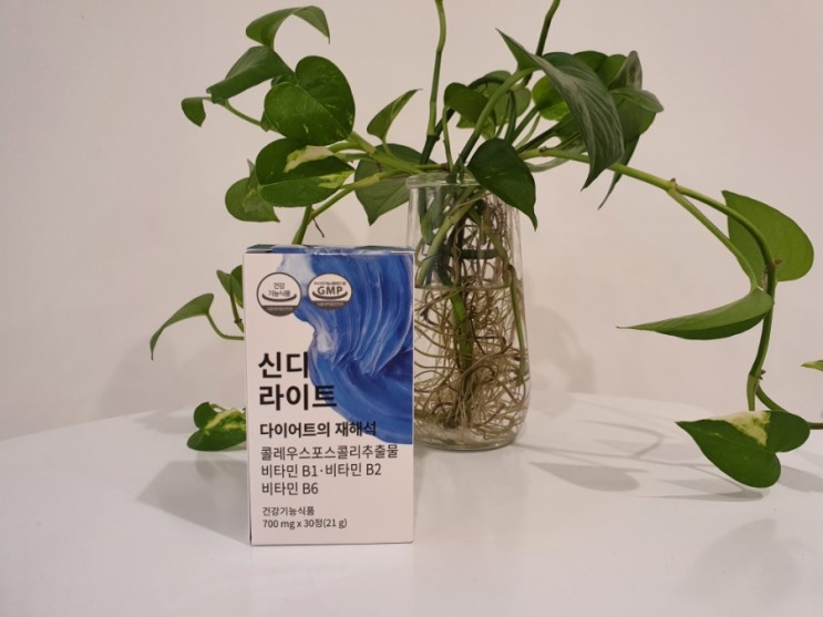 오브제 리서치 다이어트 보조제 신디라이트로 체지방감소 도움받기!
