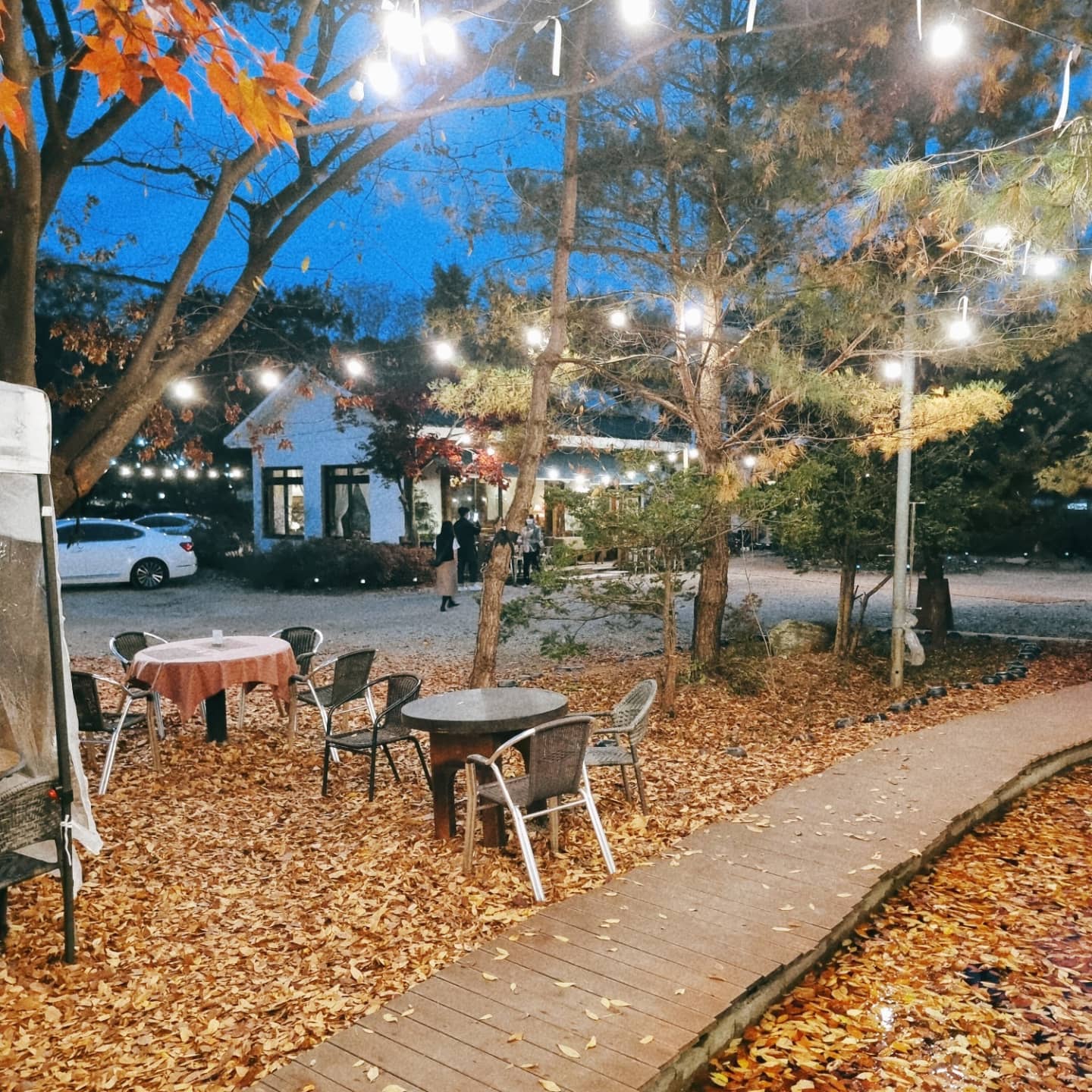 #요양하다단풍보러🍁
#백신2차3일째

울님들 쌀쌀했던 월요팅 잘 보내셧어요?
전 토욜에 화이자백신2차 맞고💉
긴장하고 있다가

여윽시 콩나물처럼 흐물모드😢

그래도 1차보다는 덜 힘들더라구요🙊
운동을 해서 그런가💪
영양제 잘 챙겨 먹어서 그런가💊
1차때 빡세게 면역반응으로
고생해서 그런가
아주 안힘든건 아니지만

1차 대비보다는 나아서
쉬다가 더 추워지기 전에 나오자 하고 
잠시 바람쐬고 왔었어요.🍁

여윽시 가을은 지난주까지였떤가
이번주 어김없이 쌀쌀해지시고
나갔따 오길 잘한듯..😌

작은차이라도 관리하고 안하고는 
완전 다른듯..

환절기에 건강지키면서
대댓은 다 못해도 
답방은 늦어도 가고 있어요..
한주도 우리 잘 보내보아요.😄

우리 모두
#관리하는여자
#덕분에공구잘마감했습니다💕
#뜨거운관심과응원감사합니다💕💕
#좋은제품볼줄아는분들😍
#낙엽asmr