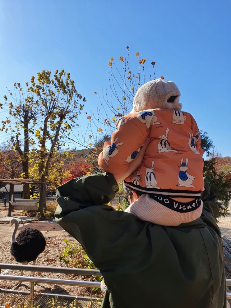 [서울대공원] 아이와 가볼만한곳 /서울동물원/경기도 아이와 가볼만한곳 / 아이와 나들이