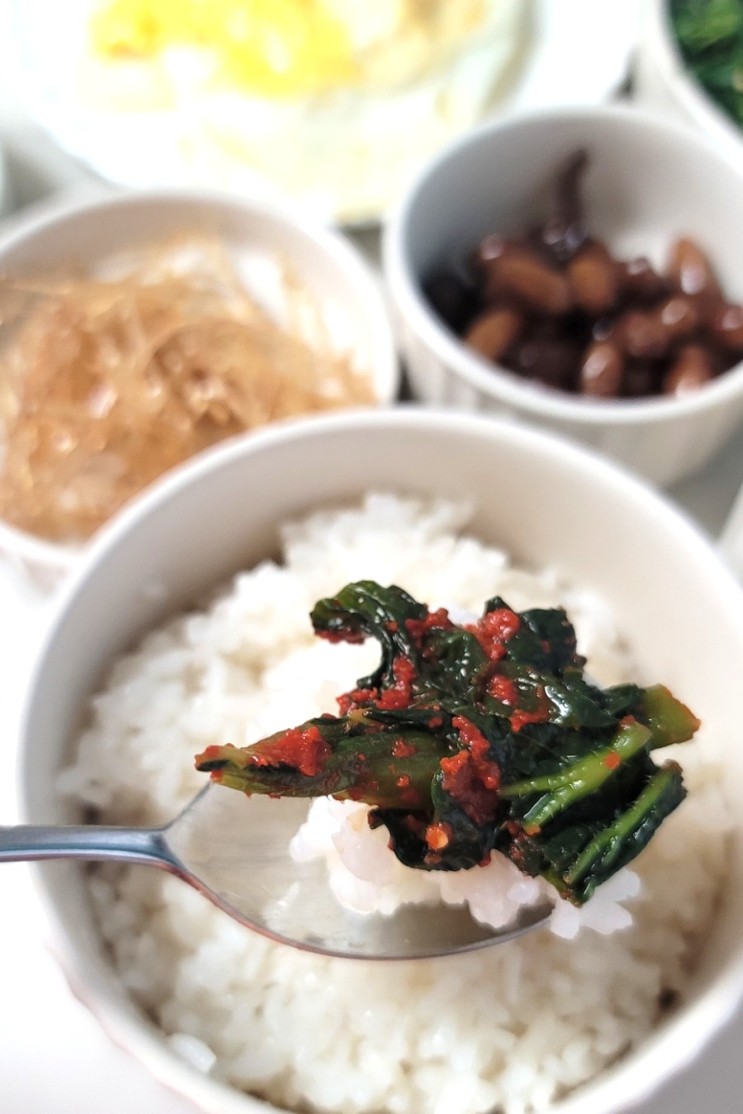 갓김치 본연의 맛 돌산수연갓김치 너무 맛있어요.