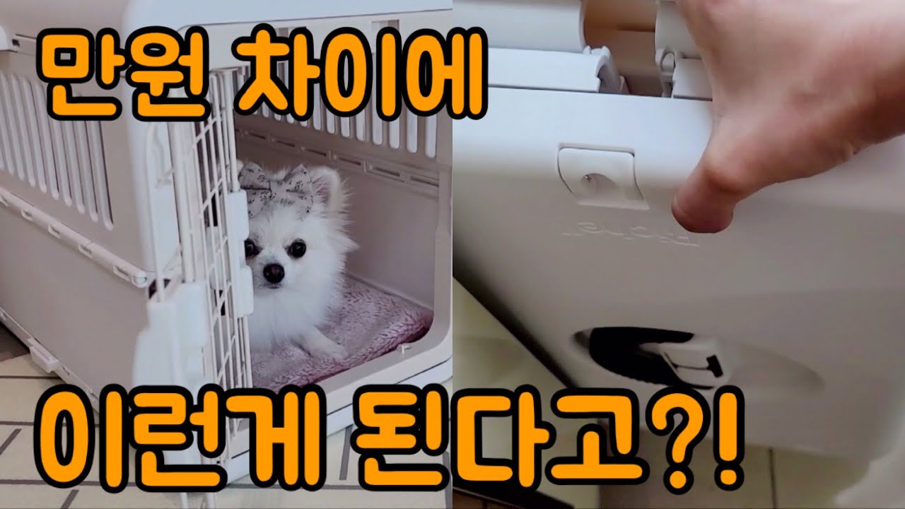 릿첼이동장, 접는게 진짜 되??