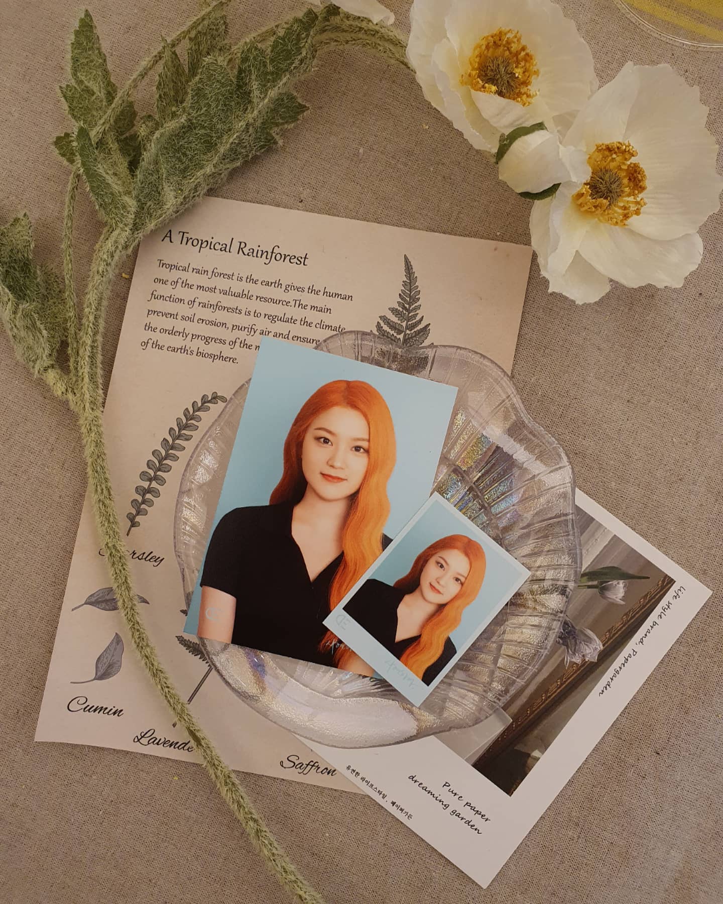 #2021 #증명사진
가을과 함께 주황머리도 안녕🧡
.
.
#가을 #가을코디 #안녕 #20대기록 #시현하다_다은 #컬러 #사진 #맛집 #bye #autumnvibes #autumnleaves #autumn #colors #orange #hair #hairstyle #haircolor #selfie #photo #fallfashion #style #me #portrait #flower #seoul #travel #lovelife