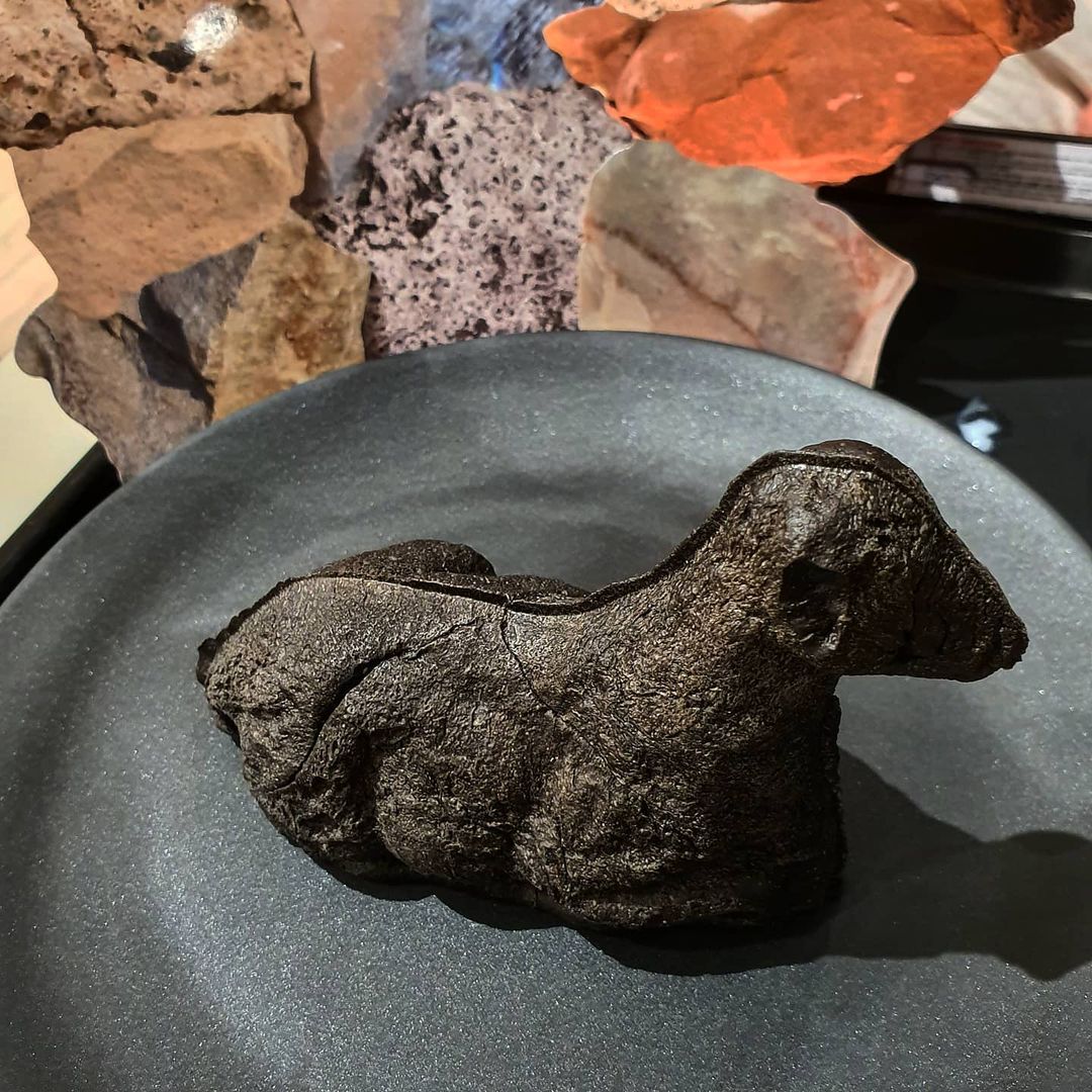 jello on Instagram: “🐑 . 2121년으로 시간여행한듯한 느낌을 주는 카페 틀에 갇힌 디저트가 아닌 새로운 무언가를 취급하며, 카페의 틀을 깼다 카페라는 공간에 오브제와 키네틱아트가 파격적