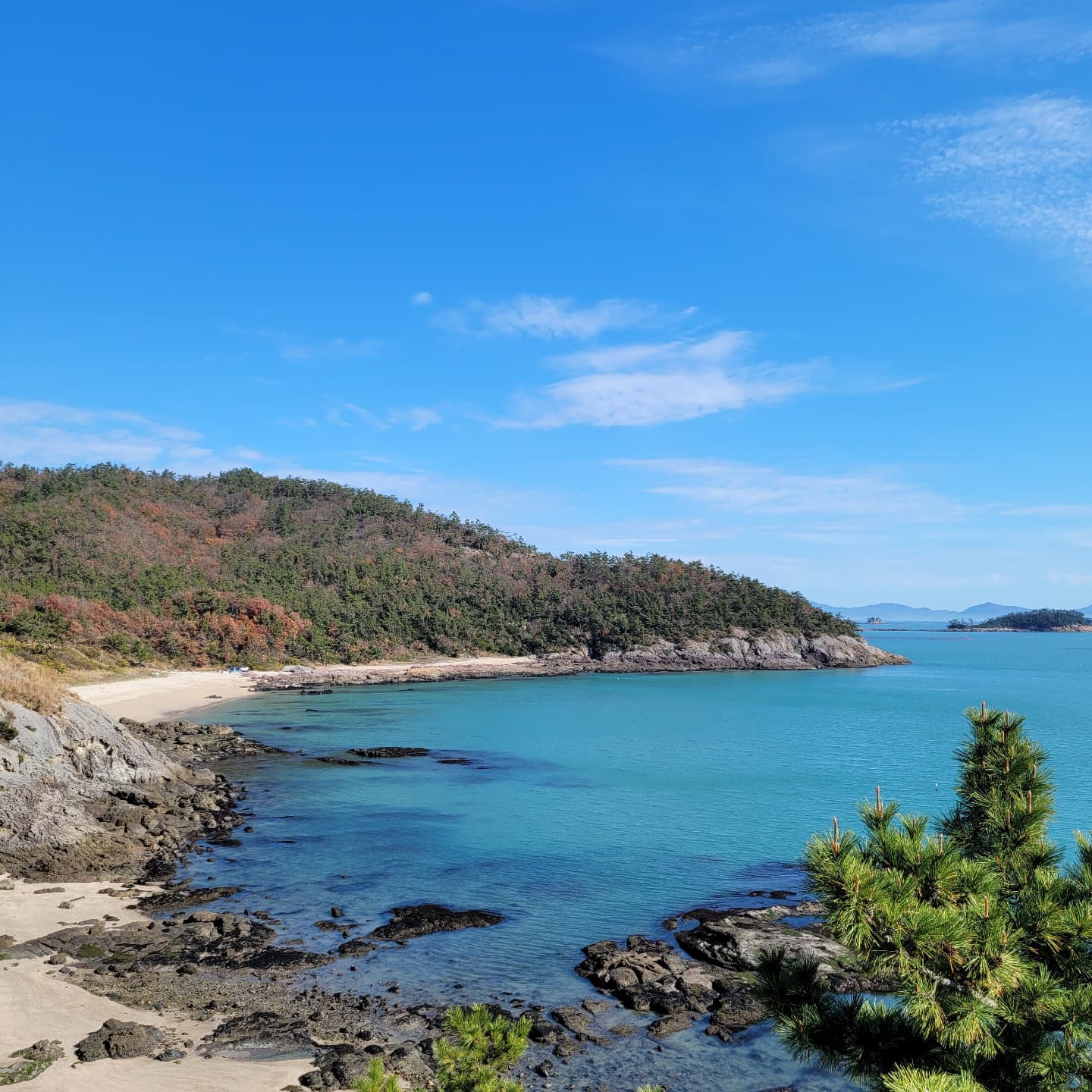 .
초여름같은 날씨🌞
추울까봐 수영복 안가지고 왔는데
아숩아숩지만 날씨가 다했당

간만에 둘이서 사진
멀쩡한사진이 하나도 없네🥲

#일상기록 #진도쏠비치 #날씨좋다☀️ #아들맘