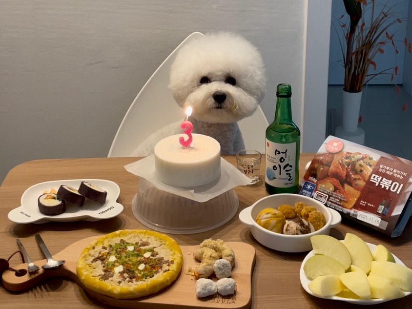 2021.11.28 HBD 💕