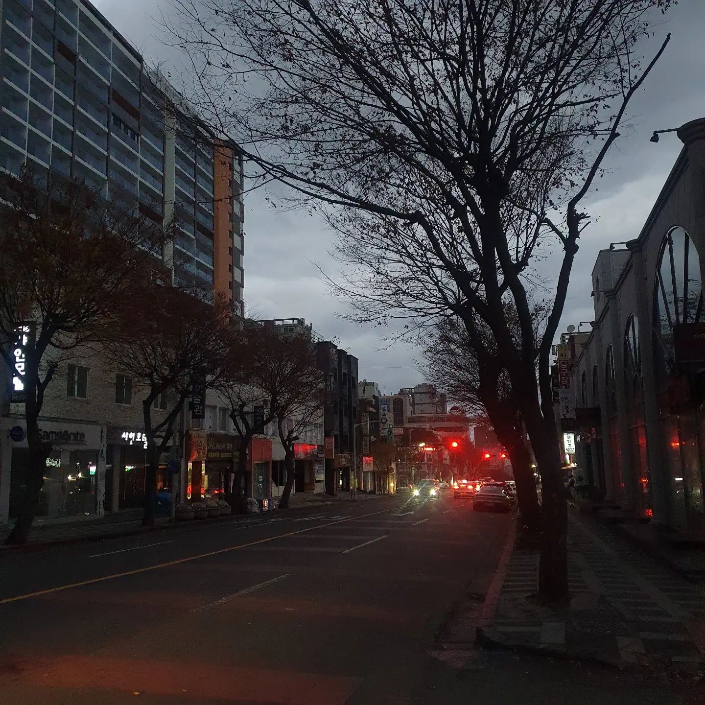 .
오랜만에 한밤중에
출근하는것 같아요!!

겨울이 온게 느껴지네요!

제주도는 오늘 바람이 마니부네요~

#한밤중#출근길아침#아침7시#제주도
#제주도민일상그램#맞팔은댓