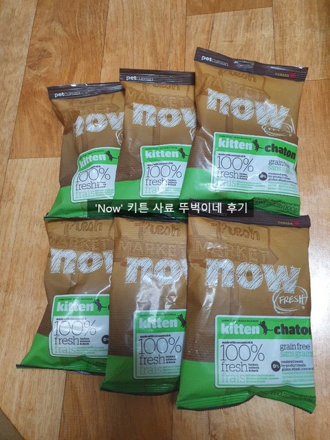 고양이 사료) 나우 프레쉬 키튼 체험 후기
