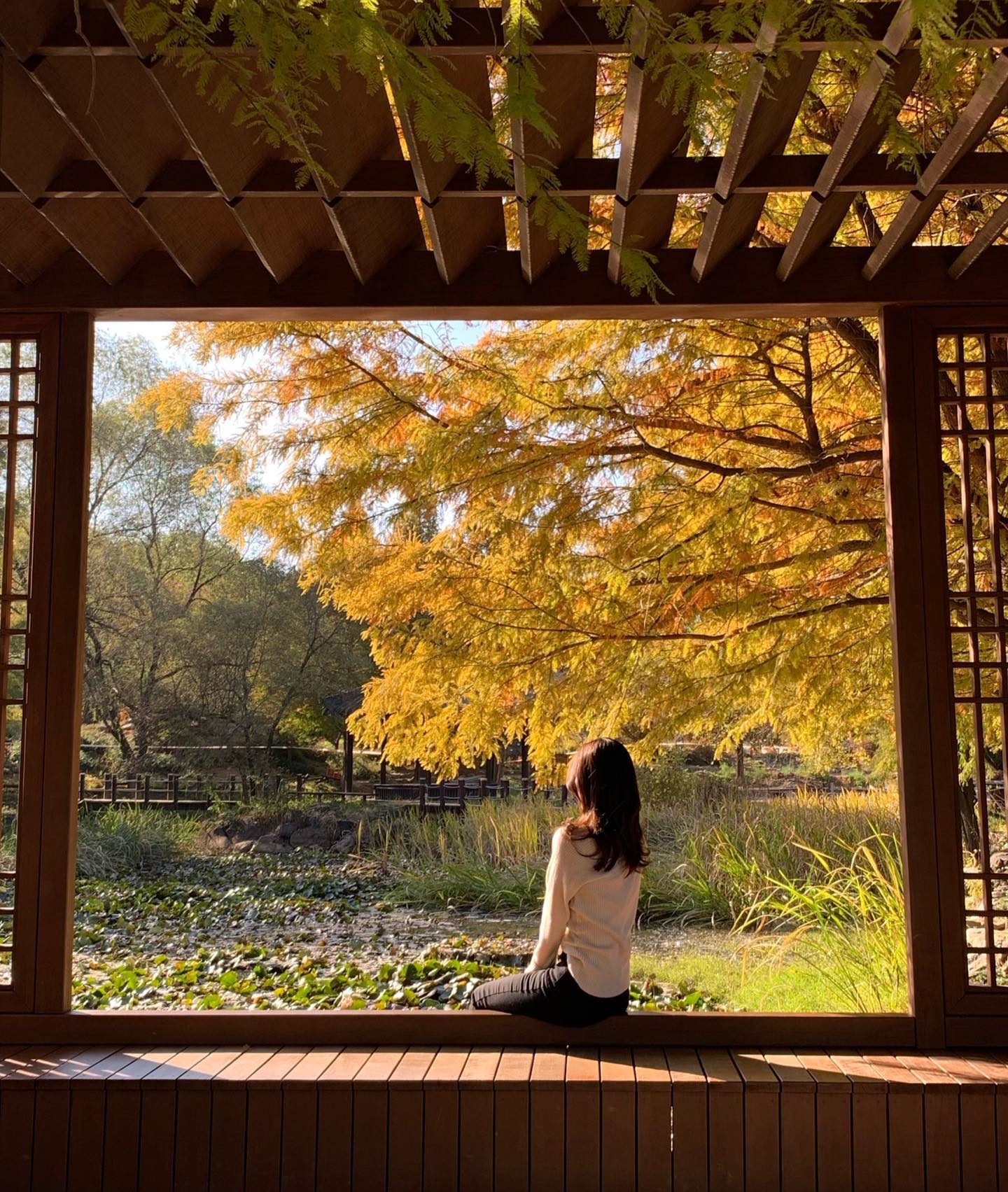 가을 보내기 아쉬워서 뒤늦게 사진 풀기 ㅋ ㅋ ㅋ 
눈 와도 너무 예쁠 것 같아..🤍