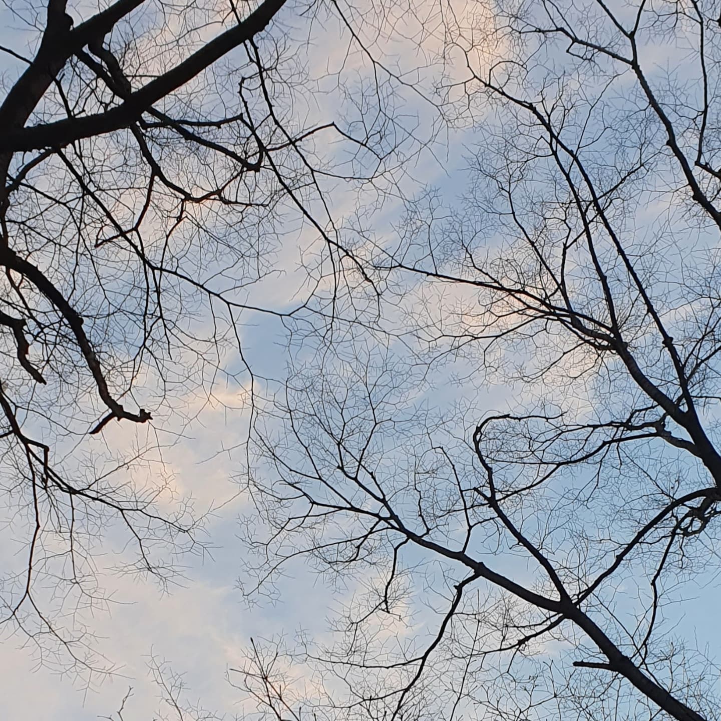 겨울시작❄

#겨울 #하늘 #하늘사진 #구름 #선팔 #좋아요