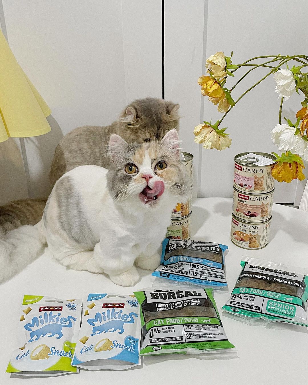 김별이 on Instagram: “#제품제공 #애니몬다 #카니캔 #습식캔추천 #밀키스캣스넥 Only the Best for your pet!🥩 원래 육식동물인 반려묘를 위해 신선한 육류를 아낌없이 사용하고 필수 미네랄과 각종