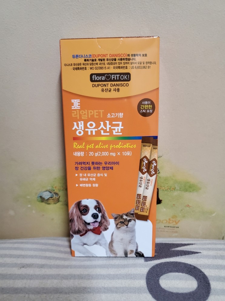 리얼펫 강아지 고양이 유산균 급여 후기🐶