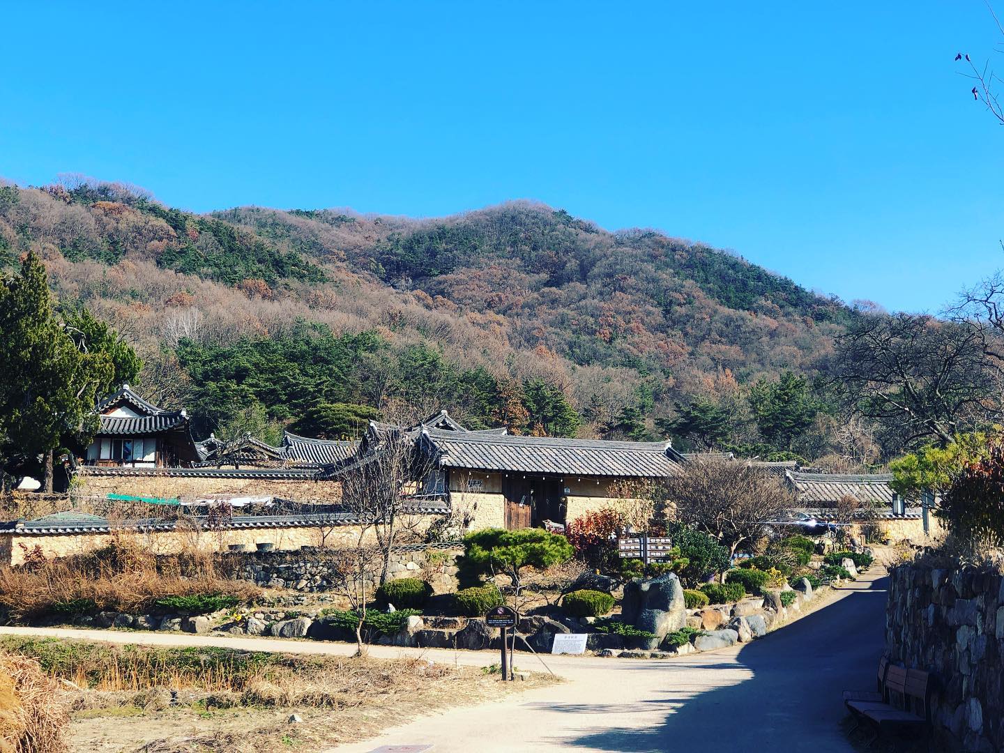 #성주 #한개마을 
우리나라 아름다운 전통마을 중 하나
#한개마을
#대구근교드라이브갈만한곳 추천

진사댁에서 유일하게 고택체험이 가능한 곳.
다음에 방문할땐 고택체험도 해보기로

한개는 큰 개울, 큰 나루 순우리말.
배산임수의 멋진 입지를 가진 #한개마을

한적하고 좋음.

#한개마을 #여행스타그램 #일상스타그램 #성주 #성주여행 #경북여행 #경북가볼만한곳