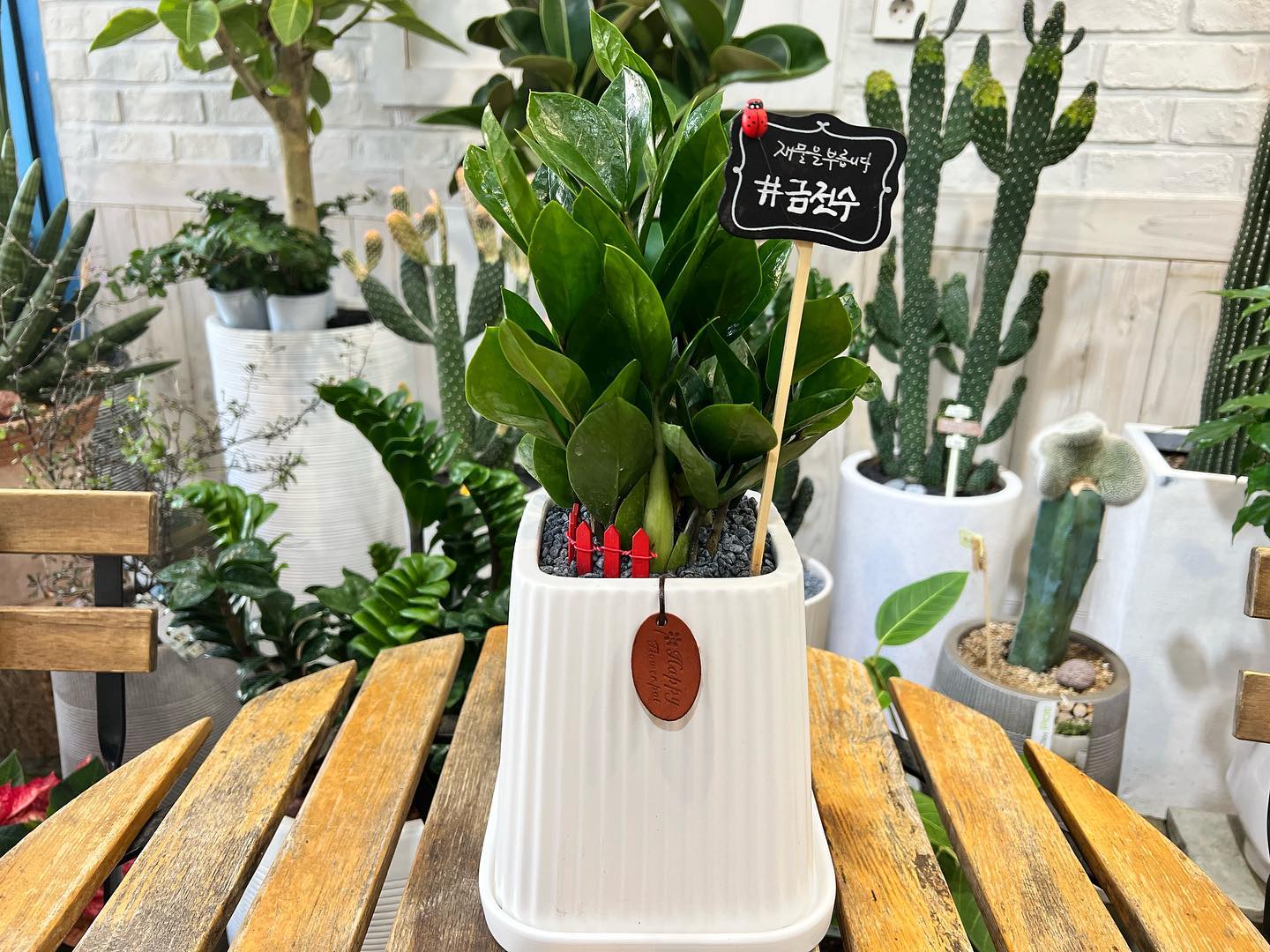 #ad #평촌개업화분 #안양개업화분 #과천꽃집 #인덕원꽃집 #평촌꽃다발 #평촌꽃바구니

평촌역에서 20년간 꽃집을 운영한 미란꽃방입니다.

🌻운영시간
평일 9시30 ~ 22시00분
주말 11시00 ~ 22시00분

🌻주소
경기 안양시 동안구 부림로 113 평촌 현대아이스파크

🌻☎️
031-385-7583
010-3276-4358

✔신선한 꽃을 직접 꽃시장에서 선별해 제작
 
✔꽃냉장고가 커서 다양한 생화를 만나볼수 있습니다.

✔예쁜 프리져브드 꽃다발을 직접 제작👍

✔교회 성전꽃꽃이를 30년간 봉사하신 전문 플로리스트

✔주차시설 👌🏻 
평촌역1분거리에 위치