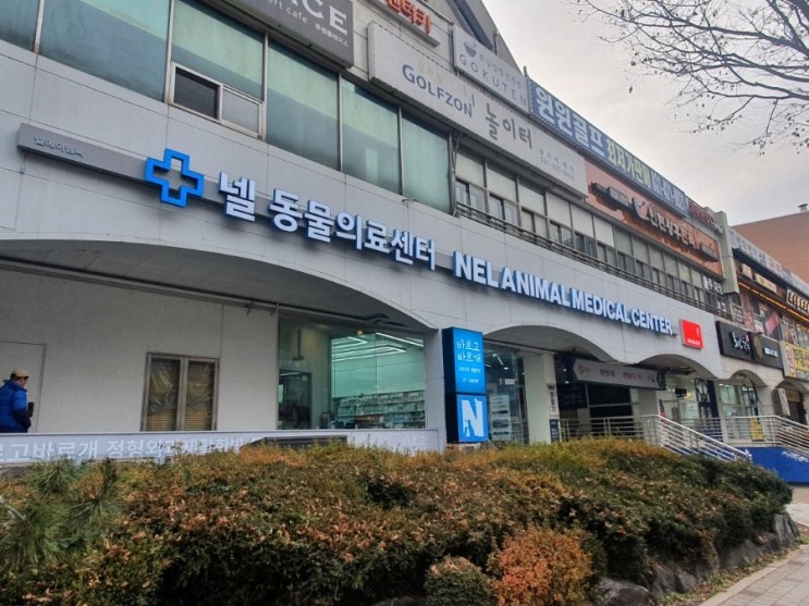 안양 24시넬동물의료센터 방문 후기(강아지심장병원, 고양이진료후기)