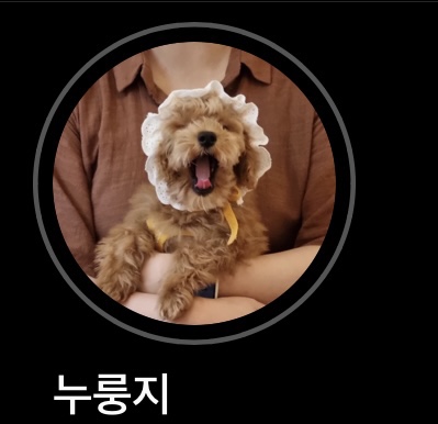 인스타 팔로워 늘리기 쉬운 방법 SNS타임 👍