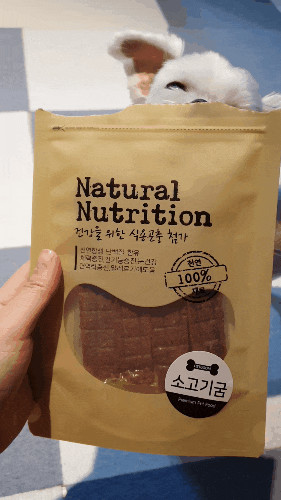 [소리와일상] 기호성짱 고단백 고칼슘 강아지수제간식 '펫굼' 굼뱅이 함유패티