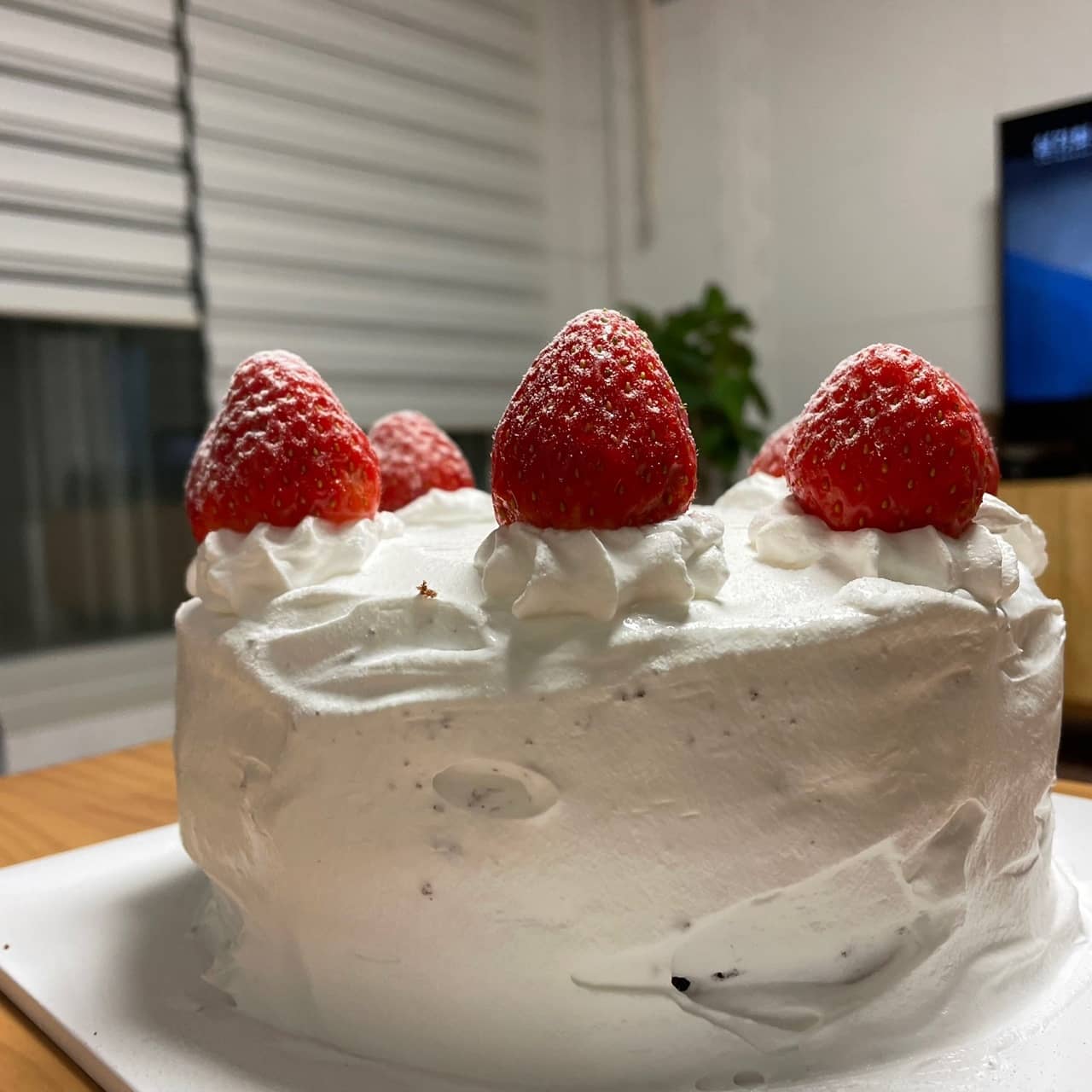🎂🎄 w.🐥