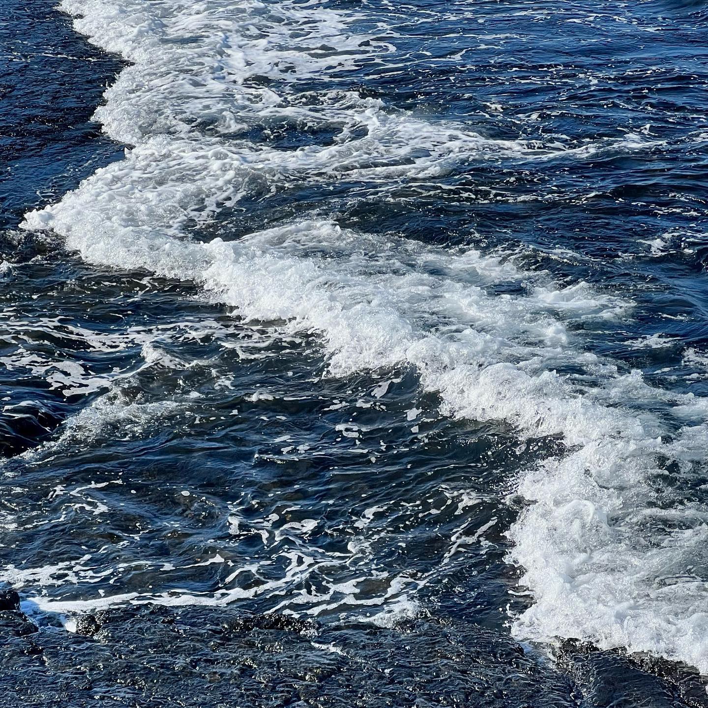 바다🌊
