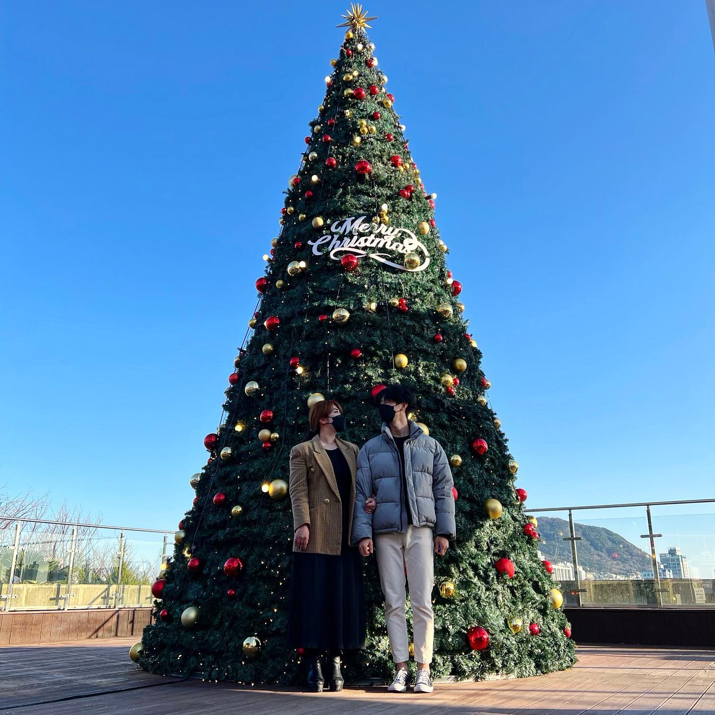 🎄메리 크리스마스🎄