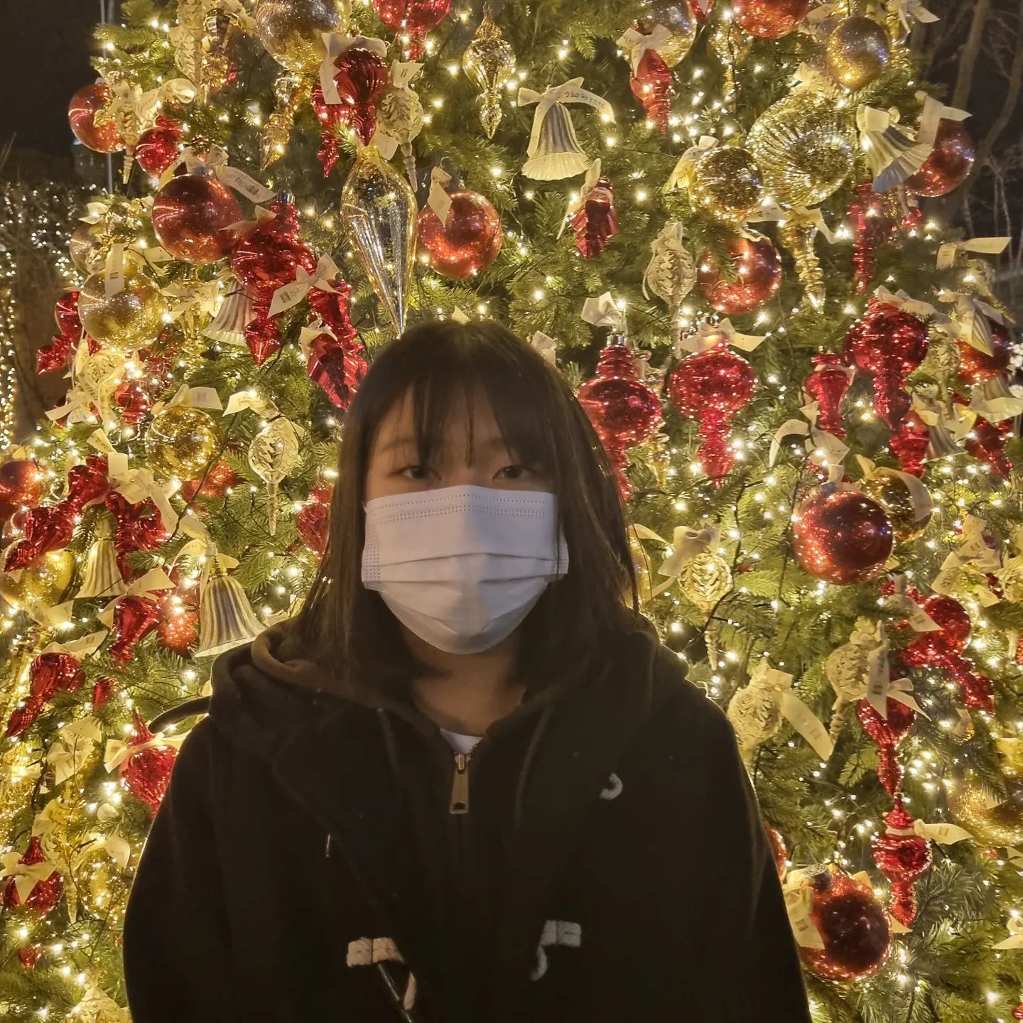 Merry Christmas☃️🎄