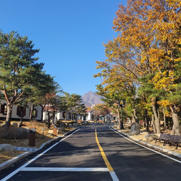 강원도 여행 켄싱턴리조트 '설악밸리'