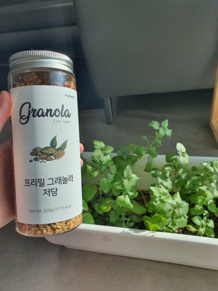 [프리밀그래놀라] 아침대용 요거트에 곁들일 수재그래놀라 추천