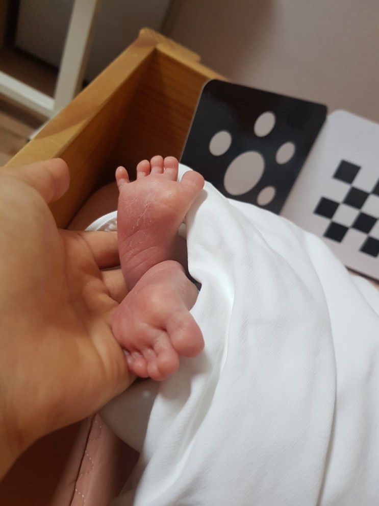 만성담낭염
